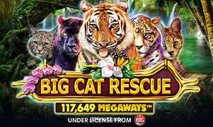 Imagem do jogo Big Cat Rescue Megaways no 234vip